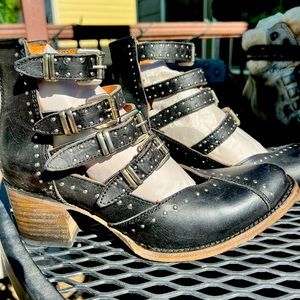 Freebird by Steven Black Felicity